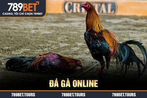đá gà online