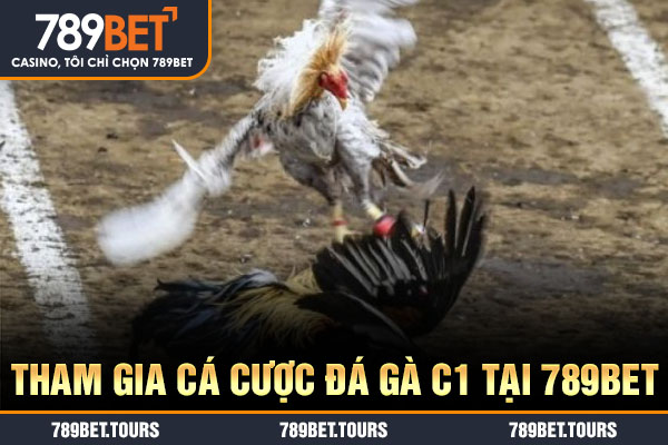 Tham gia cá cược đá gà C1 tại 789bet